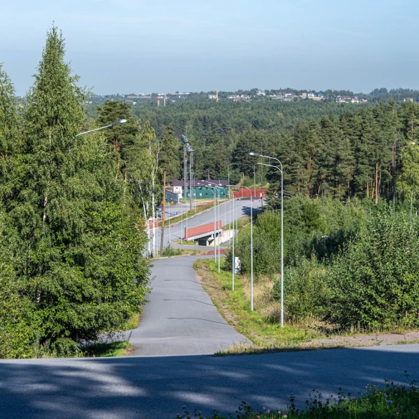 Лыжероллерная трасса